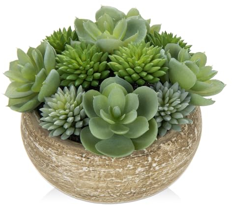 Hollyone Plantas suculentas artificiales de 11 cm en maceta de cemento, pequeñas suculentas falsas para decoración del hogar, planta de imitación decorativa para interiores para sala de estar,