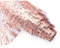 Sevenpers Tischläufer Glänzend Roségold,28cmx9m Schneidebarer Tischläufer aus Polyester für Hochzeit,Geburtstag,Tischdeko,Einschulung Deko,Schulkind(Rosegold,28x900cm)