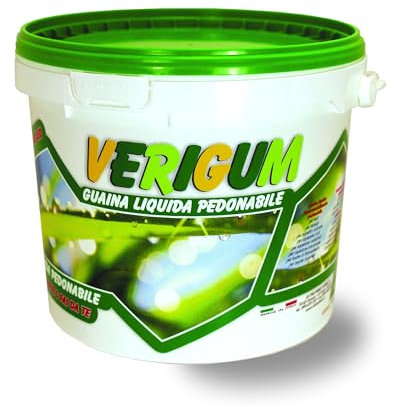 Guaina Liquida Pedonabile Impermeabilizzante e Anticrepe, Facile da Applicare, Elastica e Resistente, Ideale per Superfici Esterne (Bianco, 4 Kg)