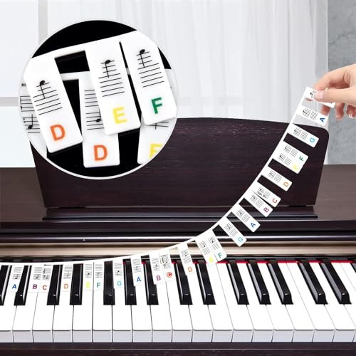 Musfunny Abnehmbare Klaviertastatur Notenetiketten: 61 Tasten Silikon Keyboard Noten Aufkleber mit Aufbewahrungsbox für Kinder Erwachsene Anfänger Lernen