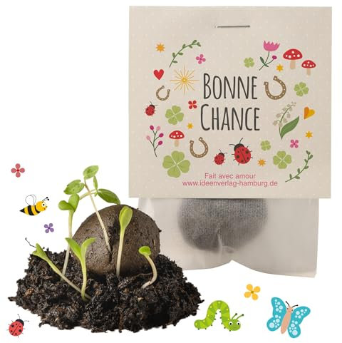 10x Bonne chance bombes à graines – petit cadeau porte-bonheur – bombes à fleurs pour collègues, invités & enfants – graines & boules fleuries comme symbole de chance, cadeau durable et écologique