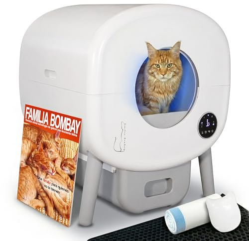 Arenero Automatico Gatos Autolimpiable - Caixa de Areia Gato Familia Bombay