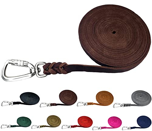 Hundeleine Fettleder Schleppleine große Hunde 1m / 2m/ 3m / 5m / 10m / 15m / 20m Lederleine 15mm breit (Braun, 5m MIT Handschlaufe)