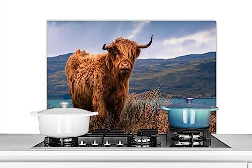 KitchenYeah© Spritzschutz Küchenrückwand Küche Deko Aluminium Platte Wandschutz Herd Spritzschutz WandverkleidungSchottisches Hochlandrind - Berg - Wasser - Natur - Kuh - 80x55 cm