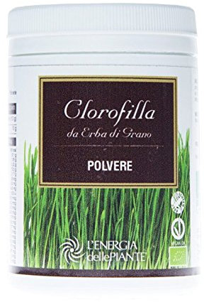 Clorofilla Erba Di Grano Polvere Bio