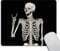 Wasach Skull Human Skeleton Mouse pad,Human Skeleton Posing Isolated Over Black Background Mouse pad 9.5 X 7.9 Inch (240mmX200mmX3mm)