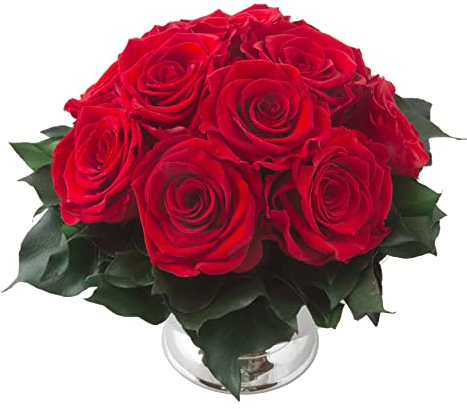ROSEMARIE SCHULZ Heidelberg Infinity Blume in silberfarbenen Becher ewige Rose konserviert Blumenstrauß langhaltend (Rot, 11 Rosen)