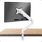 HILLPORT Monitor Halterung Weiß für 17-34 Zoll Bildschirme Monitorhalterung 1 Monitor, Höhenverstellbar mit Neigungen, Schwenken, Bildschirmhalterung von 2-9 kg VESA 75 & 100 mm M5W