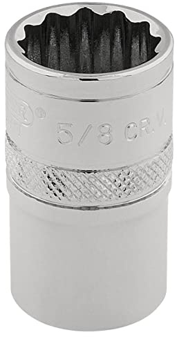 Draper 49459 Square Drive Hi-Torq 12 Points Socket 3/8 Length, Blue