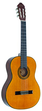 Washburn C40 Akustikgitarre