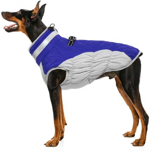 Hjumarayan Hundemantel für Kleine Mittelgroße Grosse Hunde, Hundemantel Winter Warme Wintermantel Hund Hundejacke Wasserdicht Hunde Mantel Gefüttert, Outdoor Hundemantel Labrador (Blau XL)