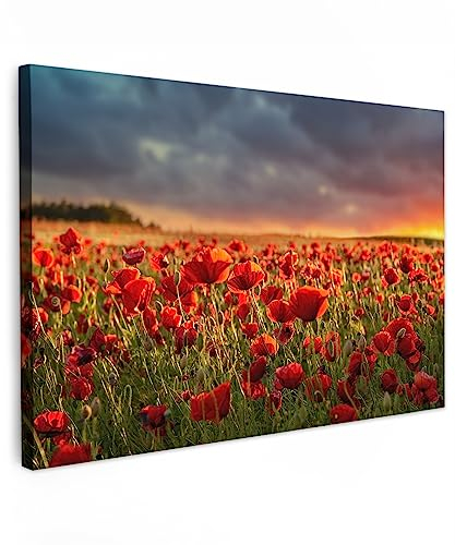 MuchoWow© Leinwand Bilder Groß 120x80 cm XXL Wanddeko Wohnzimmer Aesthetic Room Decor Deko Zimmer Wandbilder Modern Fotogeschenke Sonnenuntergang - Mohn - Rot - Blumen - Feld - Bild Natur