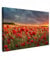 MuchoWow© Leinwand Bilder Groß 120x80 cm XXL Wanddeko Wohnzimmer Aesthetic Room Decor Deko Zimmer Wandbilder Modern Fotogeschenke Sonnenuntergang - Mohn - Rot - Blumen - Feld - Bild Natur