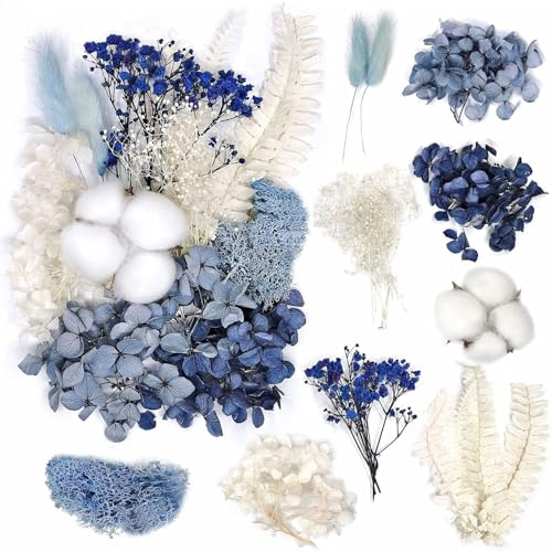 JDCMEI Natürliche getrocknete Blumen, Trockenblumen Set DIY Gepresste Blumen Trockenblumen zum Basteln Natürliche Dried Flowers für Kunst DIY Harz Scrapbooking Handwerk Karten Machen