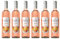Gallo Spritz Pfirsich und Nektarine rosé (6 x 0.75 l)