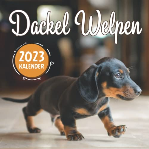 Dackel Welpen Kalender: 18-Monats-Kalender von Juli 2022 bis Dezember 2023 - Behalten Sie den Überblick über wichtige Details, Notizen und Termine