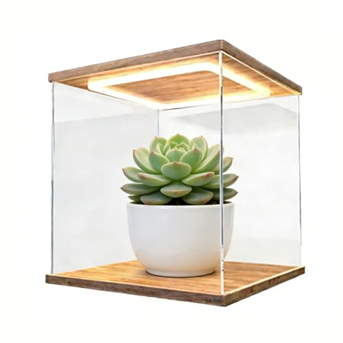HEGGMKK Vitrine Acrylique Éclairée par LED, Cube: 10-60 Cm, Dispositif À Porte Simple/Double, Empilable/antipoussière, Base De 12 Mm D'épaisseur, pour Ornements,35×35×35cm