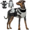 Hunde Wintermäntel mit Geschirr, Hundejacke Fleece wasserdichte Winterweste Hundepullover Hundegeschirr Winter Fashion Sports Hundemantel mit Brust Gurt Hundeanzug Winter(Schwarz, L)