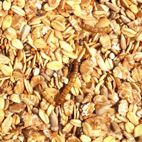 Supravit Spatzenfutter und Sperlingsfutter 5kg | Vogelfutter mit Mehlwürmern | Energie und Proteinreiches Wildvogelfutter Ganzjahresfutter