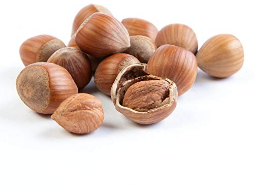1 Kg Haselnüsse in der Schale Premium 1. Wahl stets Frisch und lecker ganze Nüsse für Mensch und Tier! auch als Futter für Eichhörnchen, Streifenhörnchen, Nagetiere und Papageien etc.
