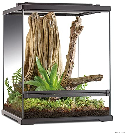 Exo Terra Tree Frog Terrarium. 45x45x60c
