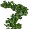 168 feet Fake Foliage Garland Leaves Decoration Artificial Greenery Ivy Vine Plants for Home Decor Indoor Outdoors (Scindapsus Leaves)