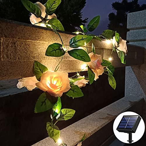 cuzile Guirlande lumineuse solaire de jardin - 5 m - 50 LED - Étanche - Roses blanches chaudes - Pour jardin, chemin, pelouse, Saint-Valentin
