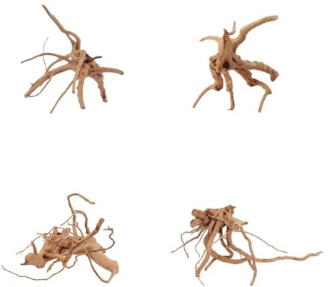 AquaOne Aquarium Wurzel M 15-25 cm 1 Stück Filigrane Moorkienwurzel für Aquascaping, Naturdeko & Aufsitzerpflanzen - Handverlesenes Unikat für Süßwasseraquarien