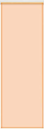 Panneau japonais transparent en voile 60 x 245 cm - Décoration de fenêtre simple et élégante disponible dans de nombreux (orange clair/sans technique)