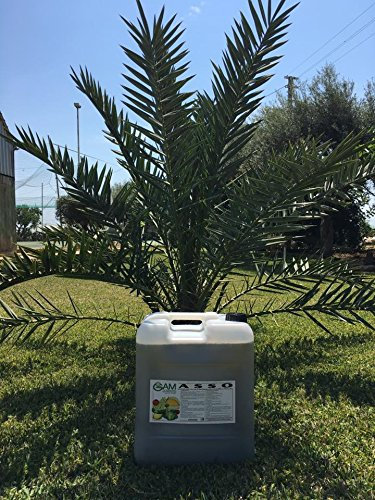 MN SRL Concime Liquido Professionale NPK 2.5-7-13+Organico e microelementi (5)