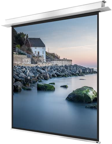 celexon Pantalla para Escuela, proyección, presentación y Cine en casa empotrable motorizada Profesional Plus hasta 4K - 180 x 180 cm - 1:1