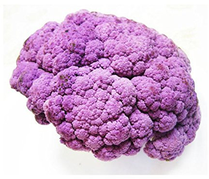 Lot de 50 graines de chou-fleur violettes pour décoration de jardin Graines.