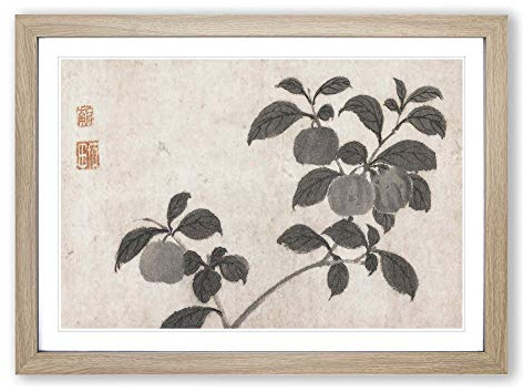 Fruit Tree by Shen Zhou Framed Print | A2 Oak Framed Wall Art | Ready to Hang | Modern Floral Picture | Living Room Bedroom Lounge Office
