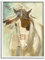 Stupell Industries Dina D'Argo Wandbild, gerahmt, Motiv: Southwestern Horse Feathered Mane, 61 x 76 cm, Weiß