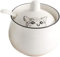 PPYQQ Ceramics - Azucarero de gato de dibujos animados para condimentos, almacenamiento de sal con tapa, cuchara blanca, 1 unidad (B)