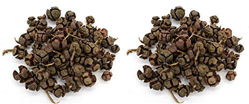DARO DEKO Streudeko Bastel-Material Früchte Natur 2 Sets