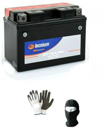 Compatible avec Suzuki 650 SFV Gladius 2014 Batterie TECNIUM BT12A-BS 12V / 9.5AH 9.5 AMP 12 Volts Batteries PRÊTES pour Usage SPÉCIFIQUE Moto Scooter 113X70X105MM