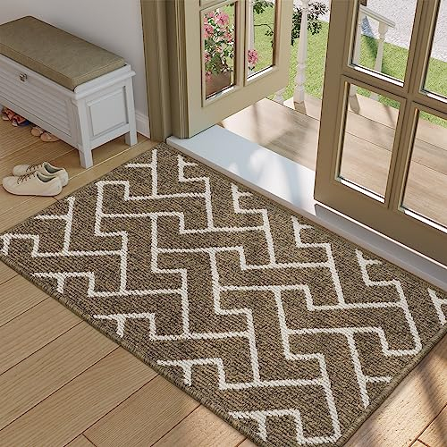 Biscpro Fußmatte Innen, Wasserdicht Türmatte Schmutzfangmatte rutschfest Fussmatte Innen (Beige, 60 x 90 cm)