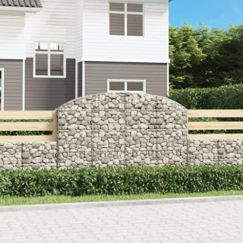 Hovothy Panier gabion avec arche haute pour plantes, mur de jardin, gabion, clôture pour briques, gabion, panier à pierres, en fer galvanisé, argenté, 200 x 30 x 140 cm