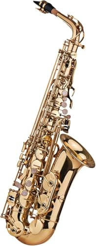 Saxophone Brass Lacquer Key Woodwind Instrument with Padded Carrying Case, Gloves, Cleaning Cloth, Brush, Strap, Reeds
