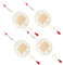 SEWACC 4 Pièces Pendentifs Traditionnel Chinois de Décoration Diy pour Nouvel An Ornements Muraux pour Salle de Classe Activité Manuelle pour Garçon Fille Décoration Vivante