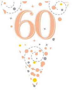 60th Birthday Rose Gold Birthday Party Flag Banner Bunting Age 60