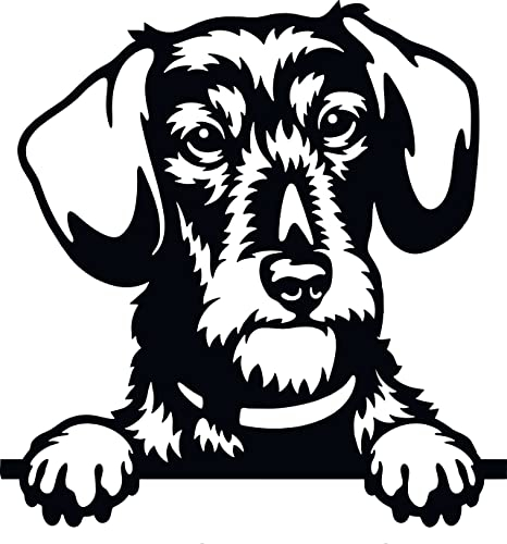 Autoaufkleber/Sticker/für Innen und Außen 28 cm schwarz Dackel Teckel Dachshund 03