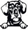 Autoaufkleber/Sticker/für Innen und Außen 28 cm schwarz Dackel Teckel Dachshund 03