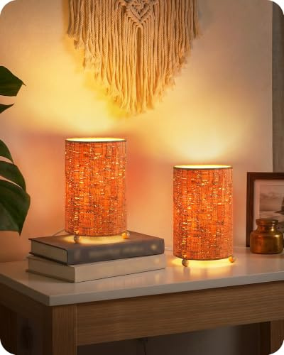 GOEBLESON Kleine Nachttischlampe 2er Set mit Lampenschirm aus Baumrinde | Tischlampe, Tischleuchte im Boho-Stil, inkl. 4W 2400K LED-Birne, Lampe für Schlafzimmer Wohnzimmer, Retrobraun