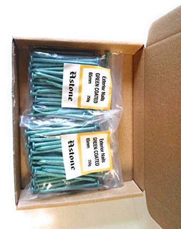 Astone Green Coated Exterior Nails (500g x 65mm)