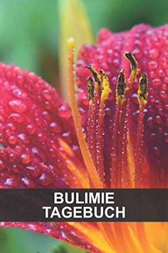 Bulimie Tagebuch: Selbsthilfe Tagebuch zum Heilen, besiegen und verstehen - Ernährungstagebuch - Stimmungstagebuch
