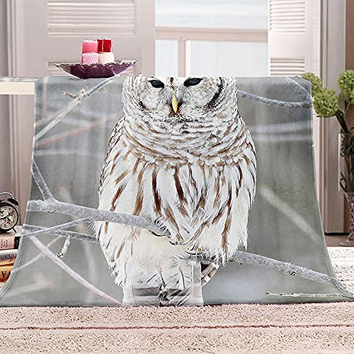 YTHSFQ Kuscheldecke Flanell Decke 3D Drucken Weiße Eule Mikrofaser Sherpa Flauschig Super Weich Warm Sofadecke Kind Erwachsene Schlafzimmer Camping Picknick Decke 180x200 cm