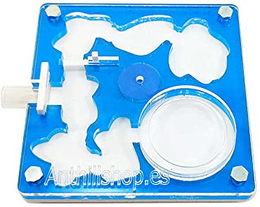 ANTHILLSHOP Ameisenfarm│ 10 x 10 cm Acryl aus Schaum (blau Farbe) - mit Ameisen aus 20-30