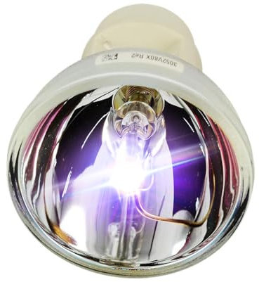 iReijomoi Lampe de rechange SP.8VH01GC01 BL-FP190E SP.73701GC01 pour Optoma HD141X/EH200ST/GT1080/HD26/S316/X316/W316/DX346/BR323/BR326/DH1009/DH1008 Projecteurs /DS340E/DS345